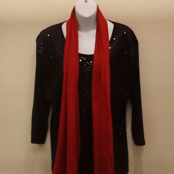 Red Pashmina Cashmere Feel Winter Scarf - Picture 2 of 15